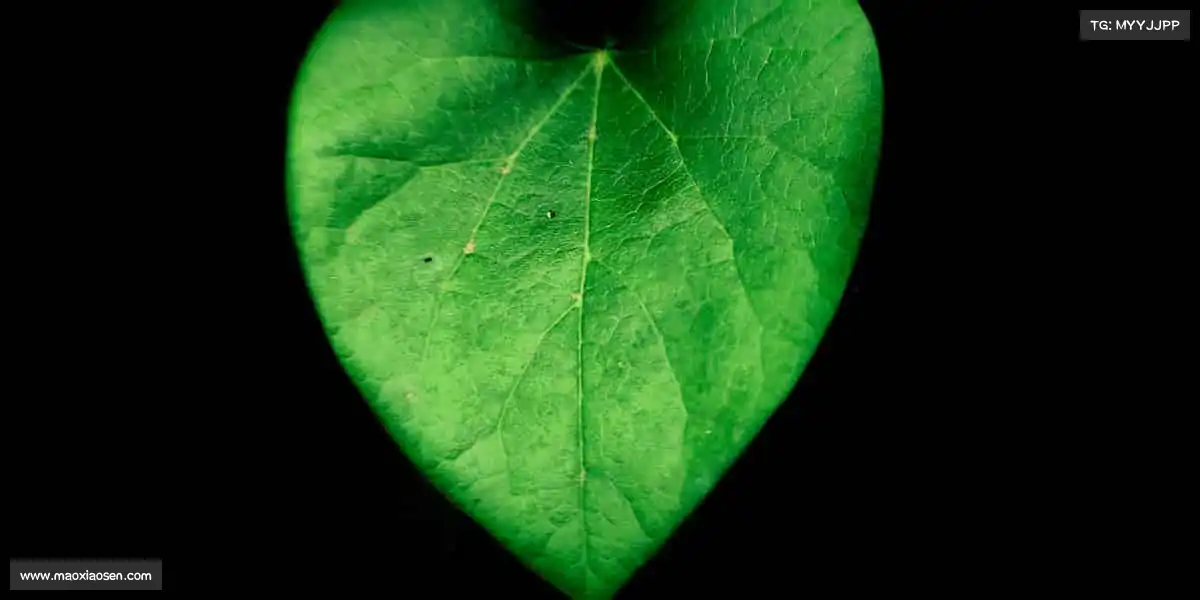 米兰官网体育不止输赢,是全力以赴时眼里闪烁的光✨